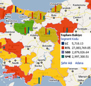 Oracle Mapviewer 11g